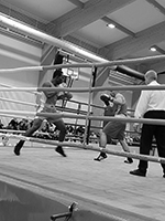 Boks klub Knockout Ljubljana - treningi